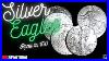 Let_S_Talk_American_Silver_Eagle_Coins_Price_Premiums_Storage_And_Collectability_01_sok