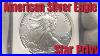 Lowest_Mintage_American_Silver_Eagle_Bullion_Coin_Ever_Star_Privy_Review_Are_They_Worth_It_01_eblp