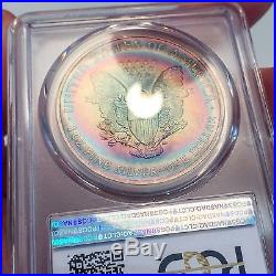 MS67 2005 $1 Silver Eagle PCGS- Incredible Monster Target Toned