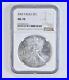 MS70_2002_American_Silver_Eagle_NGC_PERFECT_Brown_Label_0431_01_tfuh