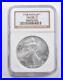 MS70_2003_American_Silver_Eagle_NGC_5193_01_or