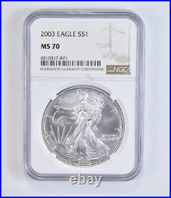 MS70 2003 American Silver Eagle NGC PERFECT Brown Label