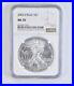 MS70_2003_American_Silver_Eagle_NGC_PERFECT_Brown_Label_01_jge