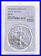 Ms70_2014_W_Burnished_Silver_Eagle_Ngc_Classic_Brown_Label_01_bb