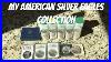 My_American_Silver_Eagles_Collection_01_ow