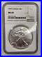 NGC_1997_Eagle_S_0_999_1oz_Silver_One_Dollar_MS_69_Grade_01_rden
