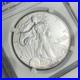 NGC_Graded_American_2002_Silver_Eagle_1_Dollar_MS69_Mint_State_Coin_Toning_01_unnh