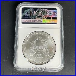 NGC Graded American 2002 Silver Eagle $1 Dollar MS69 Mint State Coin Toning