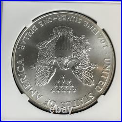 NGC Graded American 2002 Silver Eagle $1 Dollar MS69 Mint State Coin Toning