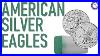 New_2021_Type_2_American_Silver_Eagle_Coins_01_kr