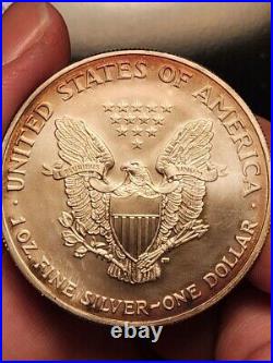 Outstanding 2004 Silver Eagle 1 Oz. Fine Silver Monster Purple & Gold Toning