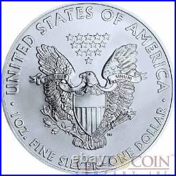 RARE USA UNION Flag American Civil War SILVER EAGLE $1 WALKING LIBERTY 2014 Coin RARE USA UNION Flag American Civil War SILVER EAGLE $1 WALKING LIBERTY 2014 Coin