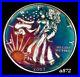 Silver_American_Eagle_Coin_Colorful_Rainbow_Toning_a872_01_ue