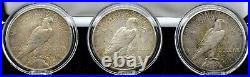 Silver Dollar Coin Collection Liberty Eagle Peace Dollar set of 3x D-P-SA BOXED