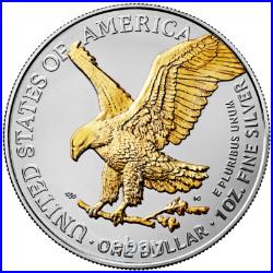 Silver Eagle Bull Silver Coin 2024 USA 1oz ST in Color Silver Eagle Bull Silver Coin 2024 USA 1oz ST in Color