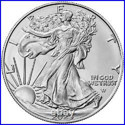 Silver Eagle Night & Day Set 2023 Silver Coins USA 2x1oz ST in Color