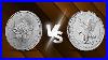 Silver_Eagles_Vs_Silver_Maples_Which_Is_Right_For_You_01_kltf