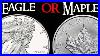 Silver_Stacking_American_Silver_Eagle_Or_Canadian_Silver_Maple_Leaf_01_byv