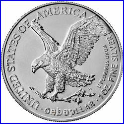 TWO AMERICAN EAGLES 1oz 2021 TYPE 1 & TYPE 2 SILVER BULLION COINS IN CAPSULE