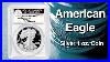The_American_Eagle_Silver_1_Oz_Coin_01_fti