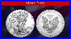 The_Complete_American_Eagle_Silver_Dollar_Coin_Collection_01_kuiw