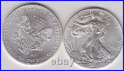 Tube Of 20 USA 2013 One Ounce Silver Eagle Dollar Coins In Near Mint Condition