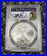 UK_SELLER_2007_1_1oz_Silver_Eagle_Type_1_PCGS_MS70_Graded_Silver_Coin_Slab_USA_01_wi