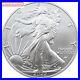 USA_2022_1_Dollar_1_oz_Silver_Coin_PCGS_MS70_Silver_Eagle_01_hzs