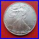 US_Silver_Eagle_1_Dollar_Coin_Brilliant_Uncirculated_20_Coins_over_620_grams_01_xal
