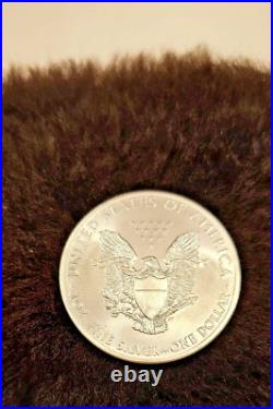 US TREASURY MINT x20 AMERICAN EAGLE 2014 1 Oz. 999 UNC FINE SILVER COINS with TUBE US TREASURY MINT x20 AMERICAN EAGLE 2014 1 Oz. 999 UNC FINE SILVER COINS with TUBE